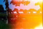 Capturing A Summer - MIF